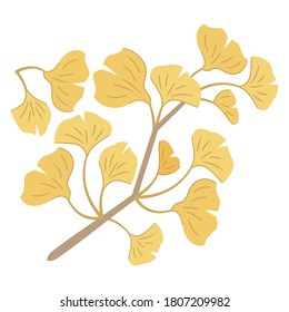 Illustration of autumn leaves ginkgo branches and leaves