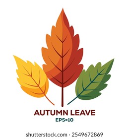 Illustration of Autumn Leaves Isolated on white