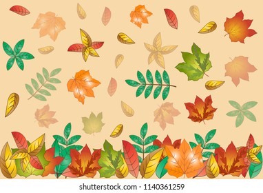 Illustration autumn leaves maple, birch, ashberry, yellow, red, orange, green color
