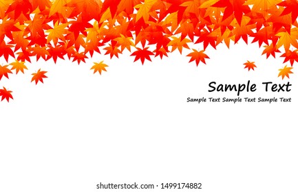 Illustration of autumn leaves on white background