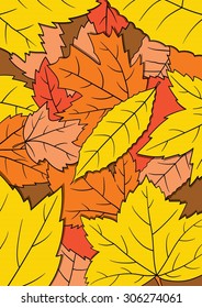 illustration of autumn leaves vector