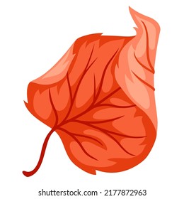 Illustration of autumn linden leaf. Stylized seasonal plant.