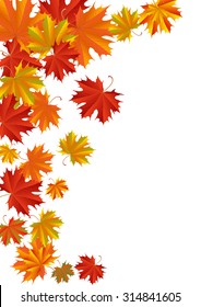 Illustration of autumn maple leaves in various colors isolated
