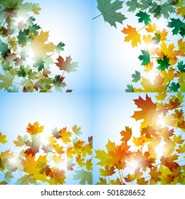 Illustration autumn motif. Maple leaves. Vector background