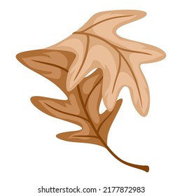 Illustration of autumn oak leaf. Stylized seasonal plant.