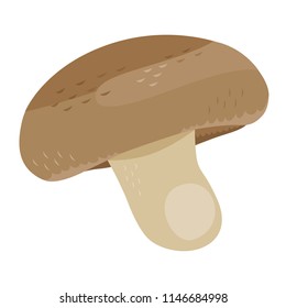 Illustration of autumn seasonal mushrooms.In Japan shitake.