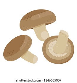 Illustration of autumn seasonal mushrooms.In Japan shitake.