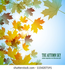 Illustration autumn still life. Maple leaves. Vector background