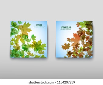 Illustration autumn still life. Maple leaves. Vector background