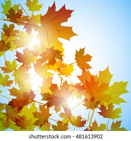 Illustration autumn still life. Maple leaves. Vector background