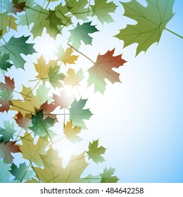 Illustration autumn still life. Maple leaves. Vector background