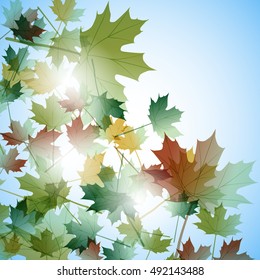 Illustration autumn still life. Maple leaves. Vector background
