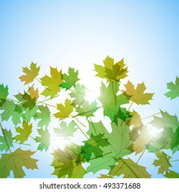 Illustration autumn still life. Maple leaves. Vector background
