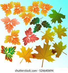 Illustration autumn still life. Maple leaves. Vector background