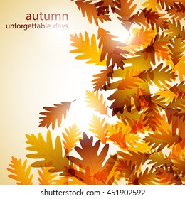 Illustration autumn still life. Oak leaves. Vector background