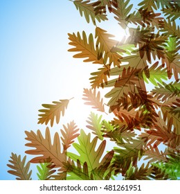 Illustration autumn still life. Oak leaves. Vector background