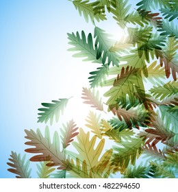 Illustration autumn still life. Oak leaves. Vector background