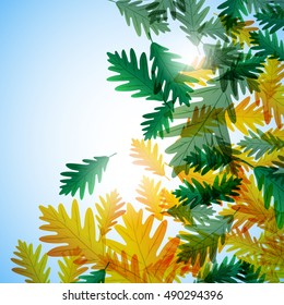 Illustration autumn still life. Oak leaves. Vector background