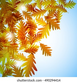 Illustration autumn still life. Oak leaves. Vector background