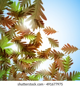 Illustration autumn still life. Oak leaves. Vector background