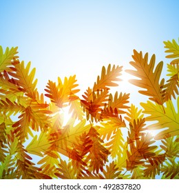 Illustration autumn still life. Oak leaves. Vector background