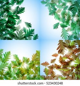 Illustration autumn still life. Oak leaves. Vector background