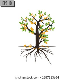 Illustration of autumn tree. Vector