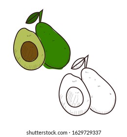 illustration of a avocado with color and without color