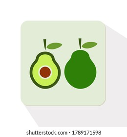 
illustration of avocado fruit. Avocado with flat style. fruit and summer theme.