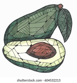 Illustration of an avocado on a white background, vector