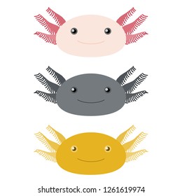 Illustration of the axolotl