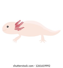 Illustration of the axolotl svg