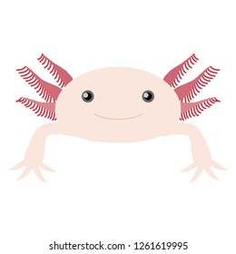 Illustration of the axolotl