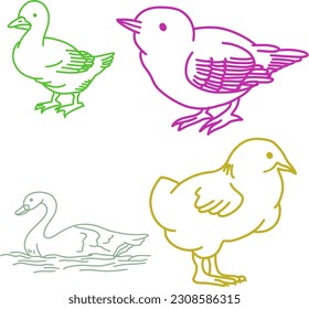 Illustration of baby chicken and sparrow and duck and goose