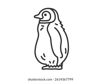 Illustration of a baby penguin (line drawing).
