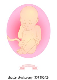 illustration of a baby in the womb