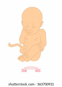 illustration of a baby in the womb
