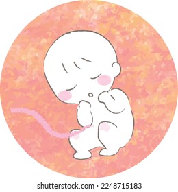 Illustration of a baby in the womb1