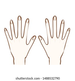 Illustration of back of hand
