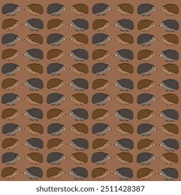 Illustration Background of Hedgehogs of different colors looking at each other