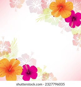 Illustration background of hibiscus flowers