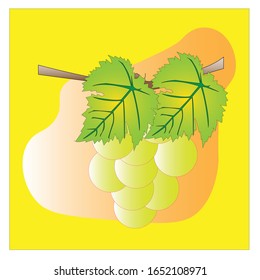 Illustration background image of grapes and leaves.