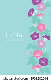 Illustration background material of morning glory with the image of summer
