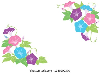Illustration background material of morning glory with the image of summer