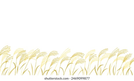 Illustration background of a pampas grass field in autumn
