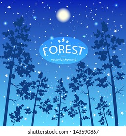 illustration background of a pine forest at night