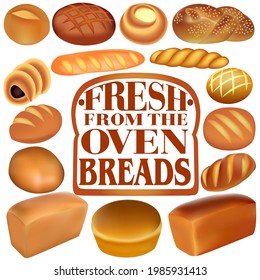 Illustration background with a set of different   fresh bread fresh from the oven 