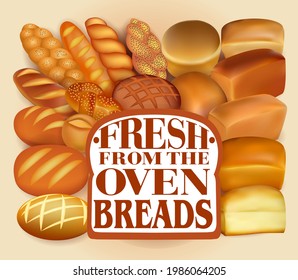 Illustration background with a set of different   fresh bread fresh from the oven