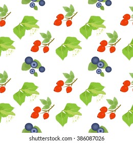 the illustration - background - with useful plants for human health.