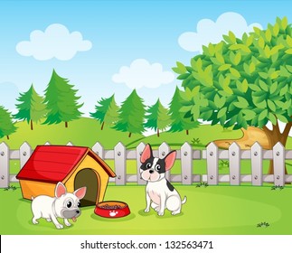 Illustration of a backyard with two dogs